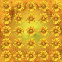 Fototapeta na wymiar Sunflower pattern