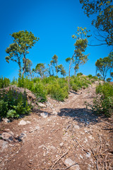 Fototapeta premium Street, Rural, landscape