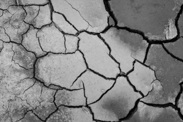 cracked soil