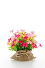 Bouquet flowers isolated on white