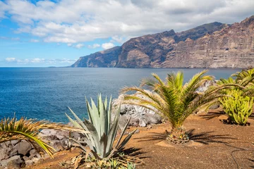 Foto op Plexiglas Los Gigantes. Tenerife, Spain © Andrei Nekrassov