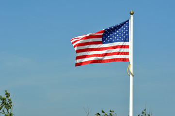 Amerikanische Flaffe
