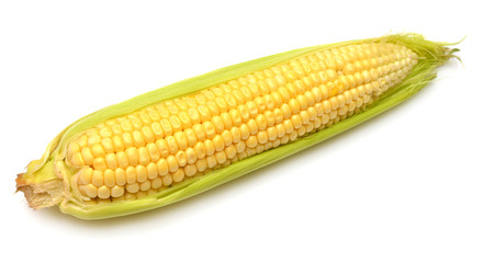 An ear of corn