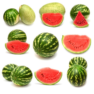 Collection of watermelon