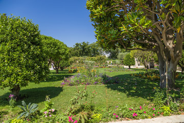 Fototapeta na wymiar Nice, France. Garden of the monastery of Notre Dame de Simie