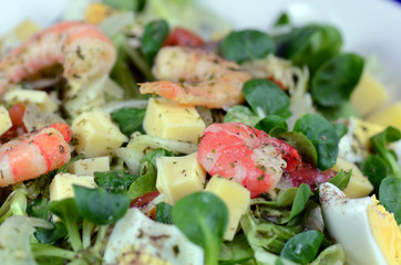 Eissalat mit Scampi
