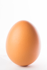 Fresh Farm Egg isolated