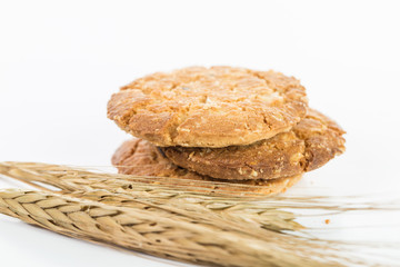 Oatmeal and oatmeal cookies
