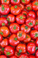 Reife rote Tomaten