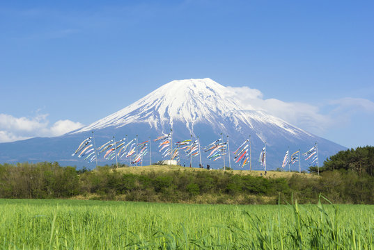 ［初夏の富士山］富士山と鯉のぼり-765