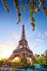 Eiffel Tower against sunrise in Paris, France