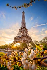 Fototapeten Eiffel Tower against sunrise in Paris, France © Tomas Marek