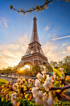 Fototapeta Eiffel Tower against sunrise in Paris, France