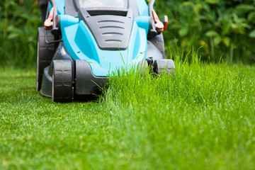 blue lawn mower on green grass. cut the grass