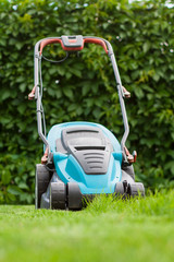 Fototapeta premium blue lawn mower on green grass
