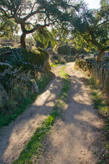 Trekkers on Natural environment