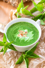 Brennnesselsuppe