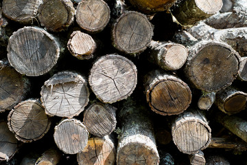 Wood pile background