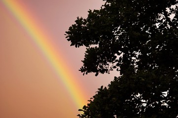 rainbow