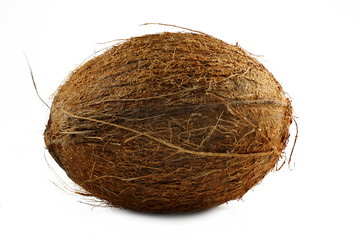 Coconut