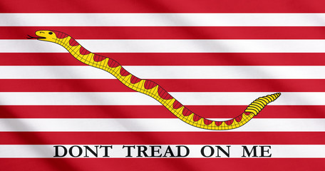 The First Navy Jack, historical flag © yossarian6
