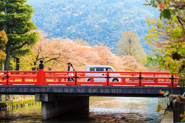Sakura season in Kyoto, Japan