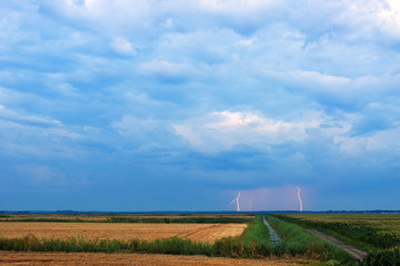 Distant lightning strikes over agricultural field