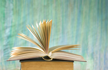 opened book close up, selective focus, free copy space