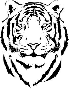 tiger head in black interpretation 2