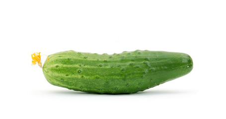 Cucumber isolated on white background