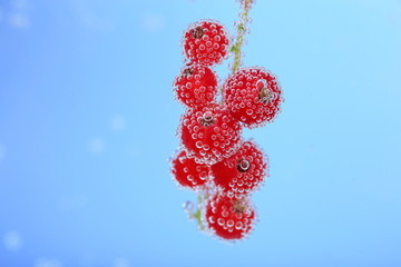Beautiful ripe red currant in water with bubbles, isolated