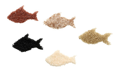 Crystals of sea salt in shape of fish, isolated on white