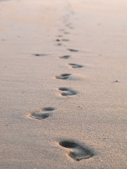 Footprints in the sand