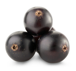 black currant