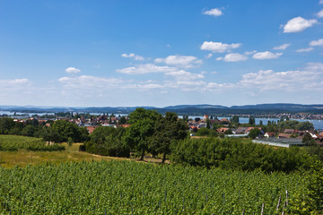 Fototapeta na wymiar Insel Reichenau - Blick über den Bodensee von Hochwart