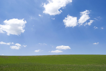 Obraz premium Green hill