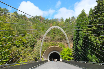 トンネルへ続く吊り橋