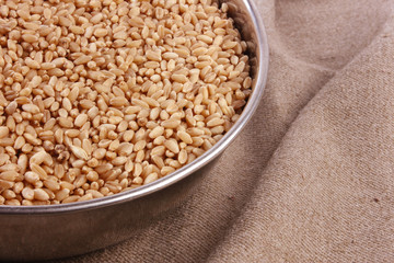wheat in bowl & outside bowl isolated