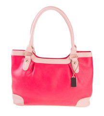 bag. women bag on a background