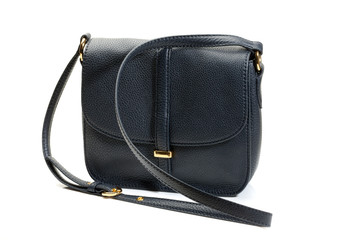 Naklejka premium Luxury female handbag.