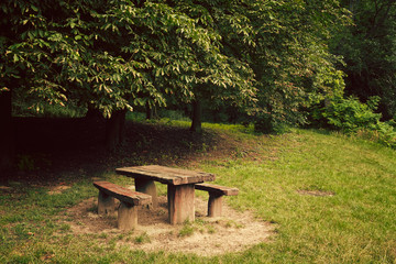 Naklejka premium Park