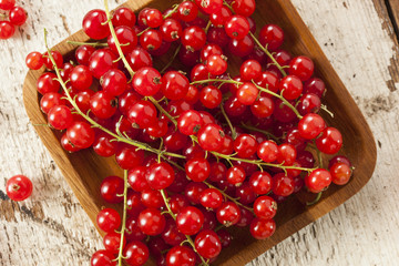 Organic Raw Red Currants