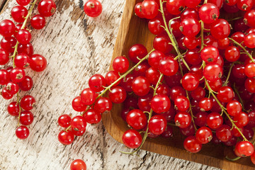 Organic Raw Red Currants