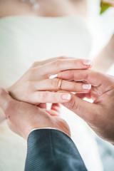 Hands of the groom and bride with wedding rings