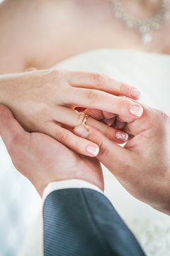 Hands of the groom and bride with wedding rings