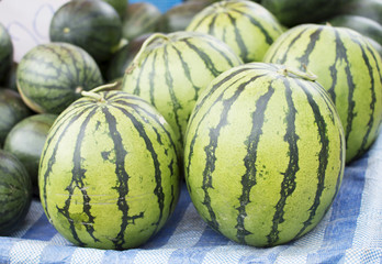 Watermelons at Market/ watermelons laid out at a Farmers market