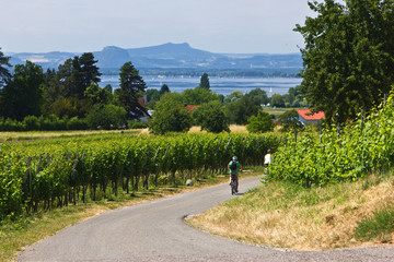 Insel Reichenau - Radferien am Bodensee