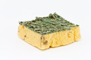 Old dirty sponges on white background