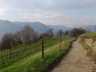 Fototapeta premium Sentiero panoramico