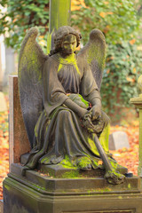The Angel from the old Prague Cemetery, Czech Republic